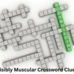Visibly Muscular Crossword Clues
