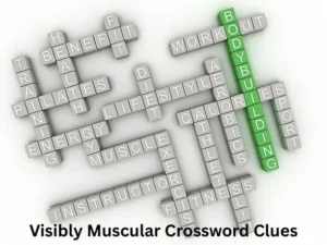Visibly Muscular Crossword Clues